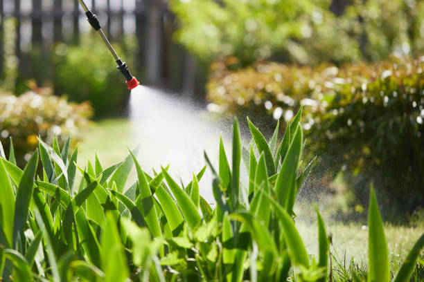 24/7 Emergency Mosquito Control experts in Seaside, CA