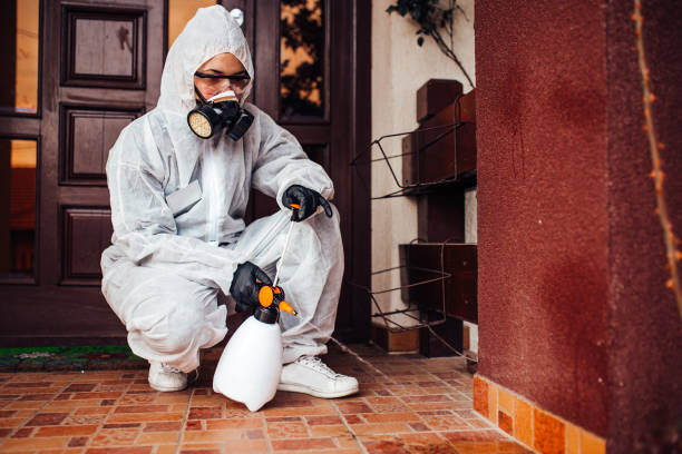 Reliable Mosquito Control contractor in Seaside, CA by Nex Pest Control
